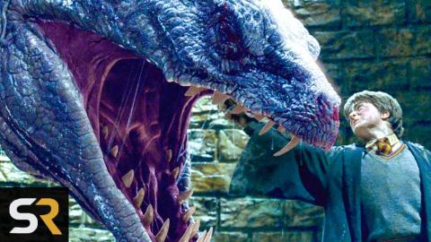 Harry Potter: 10 Most Dangerous Magical Beasts
