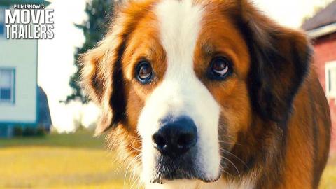 A DOG'S JOURNEY Trailer (Drama 2019) - Dennis Quaid Sequel Movie