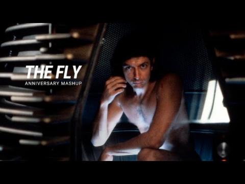 'The Fly' | Anniversary Mashup