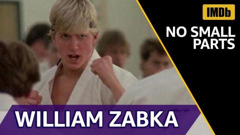 William Zabka's Roles | IMDb NO SMALL PARTS