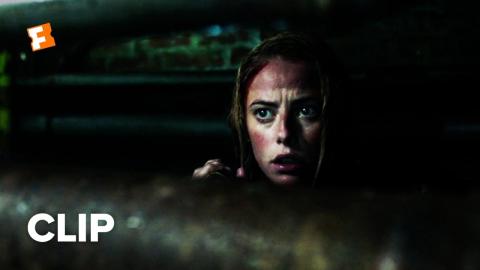 Crawl Movie Clip - It's Not Safe Down Here (2019) | Movieclips Coming Soon