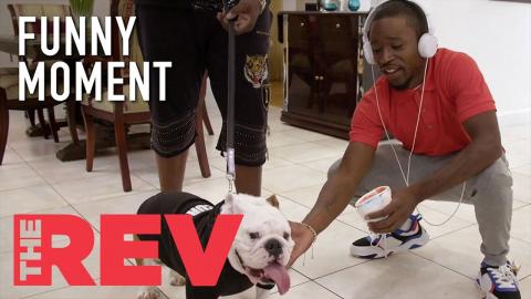 Richard's New Dog Scares The Family | The Rev | Funny Moments | USA Network