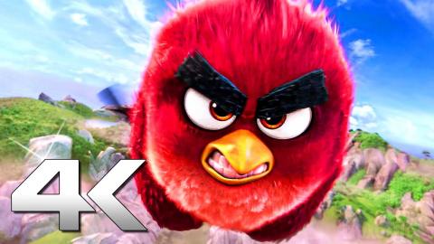 ANGRY BIRDS "Birds VS Pigs" Best Scenes 4K ᴴᴰ