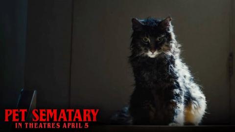 Pet Sematary (2019)- Dead Digital - Paramount Pictures