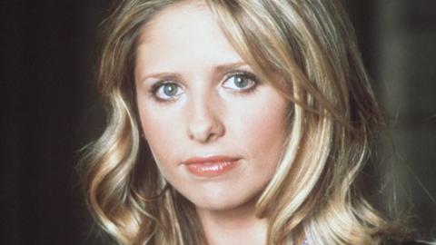 Why You Rarely Hear About Sarah Michelle Gellar