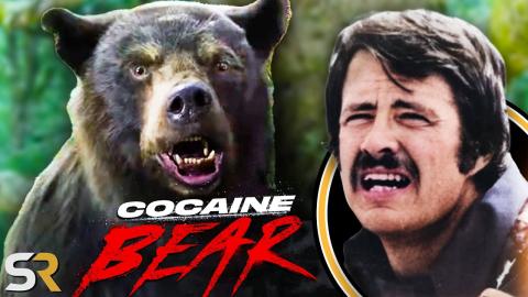 Cocaine Bear: 15 Things YOU Missed