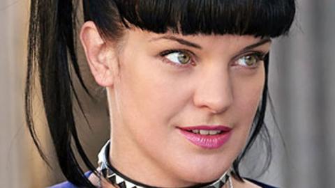 The Real Reason Pauley Perrette Left NCIS