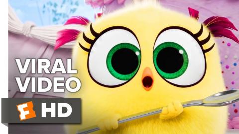 The Angry Birds Movie 2 Viral Video - Happy Mother's Day (2019) | Movieclips Coming Soon