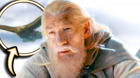 Lord of the Rings: 16 TINY Details Only Fans Noticed