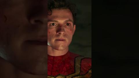 Spider-Man No Way Home References To Previous Movies