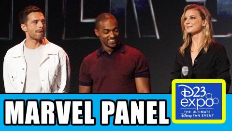 D23 MARVEL Disney+ Panels - Falcon & Winter Soldier, WandaVision, Loki, What If