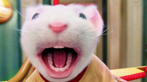 5 times Stuart Little was the best brother ever ???? 4K