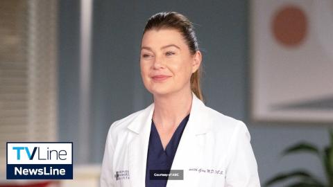 Ellen Pompeo Scales Back Grey's Anatomy Workload, Will Appear in 'Limited Capacity' in Season 19