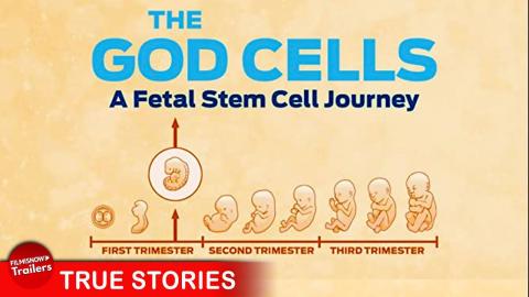 The Future of Medicine? THE GOD CELLS: A Fetal Stem Cell Journey - FULL DOCUMENTARY