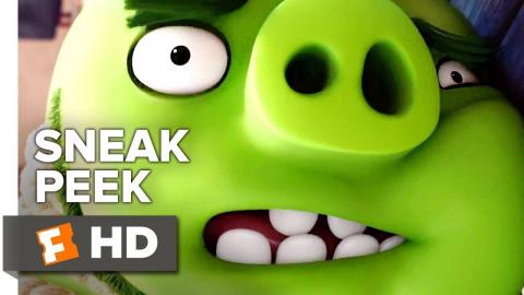 The Angry Birds Movie 2 Sneak Peek - Third Island (2019) | Movieclips Coming Soon