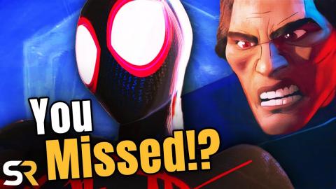 Spider-Man: Across the Spider-Verse X Things You Missed