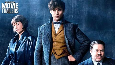 FANTASTIC BEASTS 2: THE CRIMES OF GRINDELWALD | Wands Ready in New Trailer Teaser