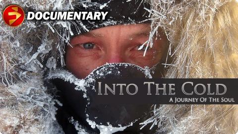 A chilling odyssey to the Arctic's heart! | INTO THE COLD: A JOURNEY OF THE SOUL | Documentary
