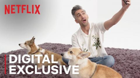 Corgis ft. Tan France & Antoni Porowski | Netflix Universe