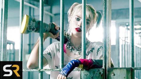 This Is What's Next For Harley Quinn After Birds Of Prey