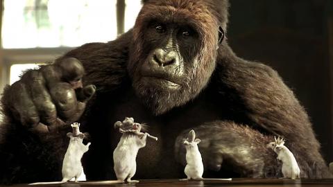 Mice Chess | Dolittle | CLIP