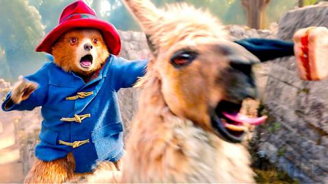 Paddington Escapes a Crazy Treasure Hunter | Full Scene ???? 4K