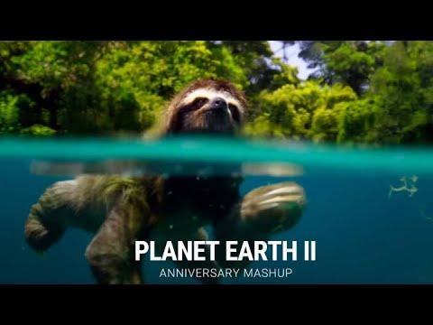“Planet Earth II” | Anniversary Mashup