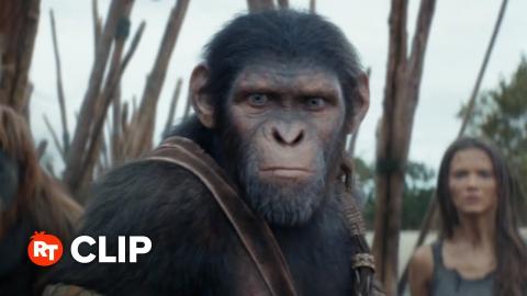 Kingdom of the Planet of the Apes Movie Clip - The Bridge (2024)