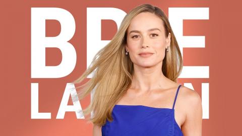 Brie Larson's Career Breakdown