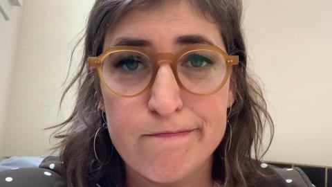 Fans Will Never Forget Mayim Bialik's Very Controversial Comment
