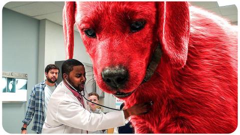 CLIFFORD THE BIG RED DOG Funny Scenes 4K ᴴᴰ