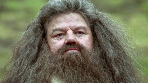 Why Hollywood Stopped Casting The Actor Who Played Hagrid