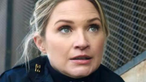 Blue Bloods Fans Are Tired Of This One Single Issue