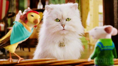 Snowbell best scenes in Stuart Little 2 ???? 4K